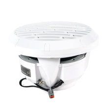 Load image into Gallery viewer, Roswell R1 10" Subwoofer - White - 250W RMS  500W Peak Power [C920-1800]
