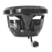 Load image into Gallery viewer, Roswell R1 10" Subwoofer - Anthracite - 250W RMS  500W Peak Power [C920-1802]
