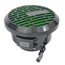 Load image into Gallery viewer, Roswell R1 10" Subwoofer - Anthracite - 250W RMS  500W Peak Power [C920-1802]

