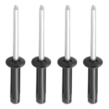 Load image into Gallery viewer, RAM Mount Mari-Rivet Aluminum Pop Rivets - 4 Pack [RAM-MARI-RIVET-4U]
