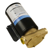Load image into Gallery viewer, Albin Group Marine General Purpose Pump FIP F4 - 24V - 12 GPM [04-01-006]
