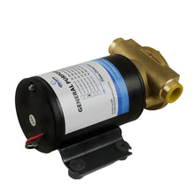 Load image into Gallery viewer, Albin Group Marine General Purpose Pump FIP F3 (9 GPM) - 12V [04-01-003]
